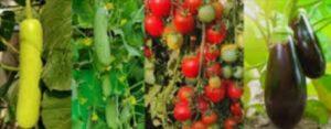 IMG_20220629_194554