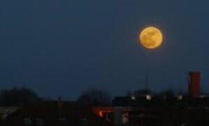 IMG_20220712_192133