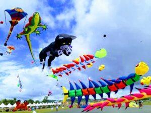 IMG-20230105-WA0017~2