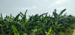 IMG-20230829-WA0055