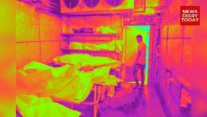 InCollage_20240822_172407408