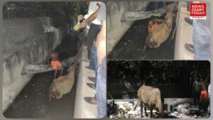 InCollage_20241017_183217321